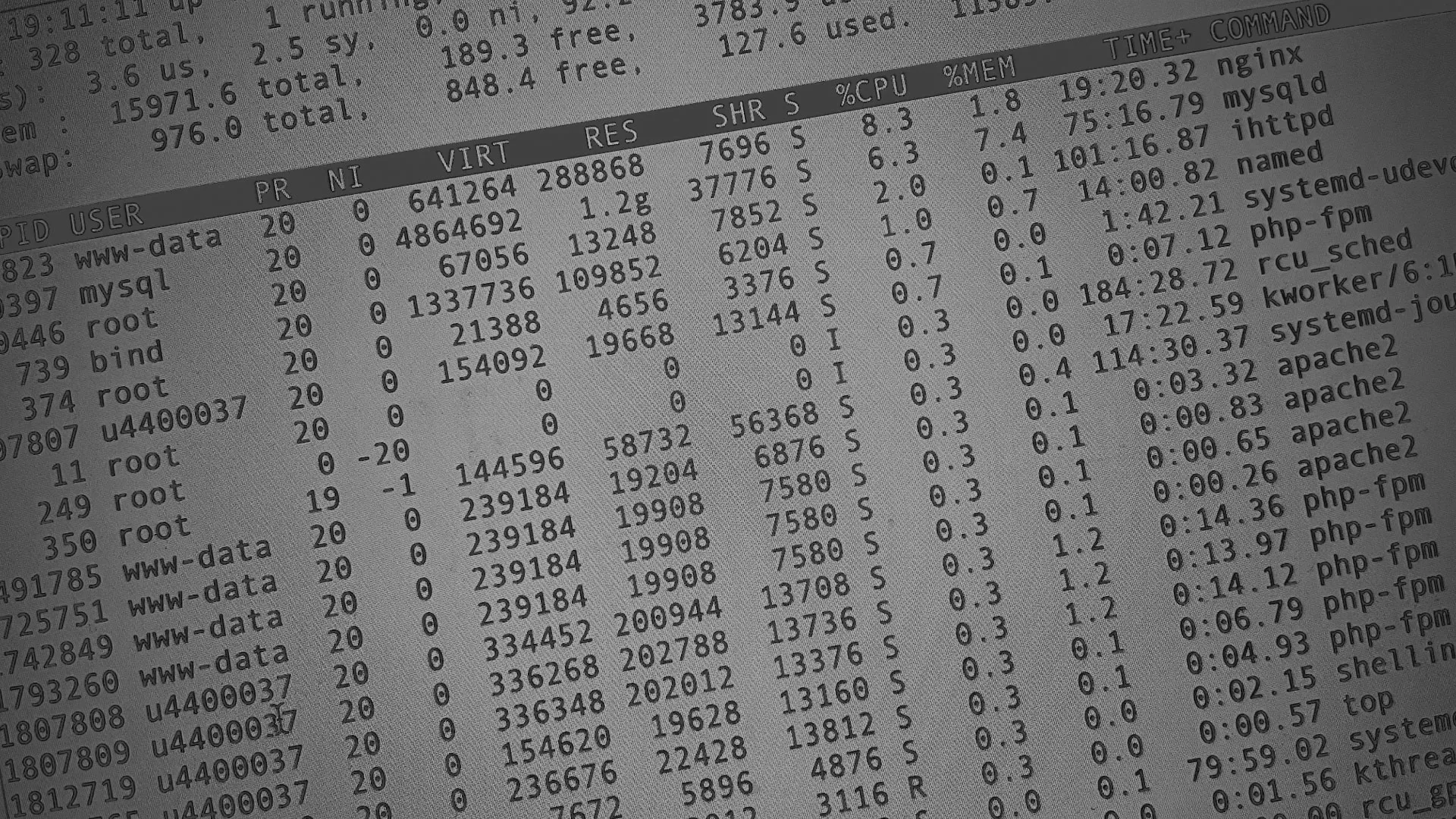 Настройка сервера в Туране