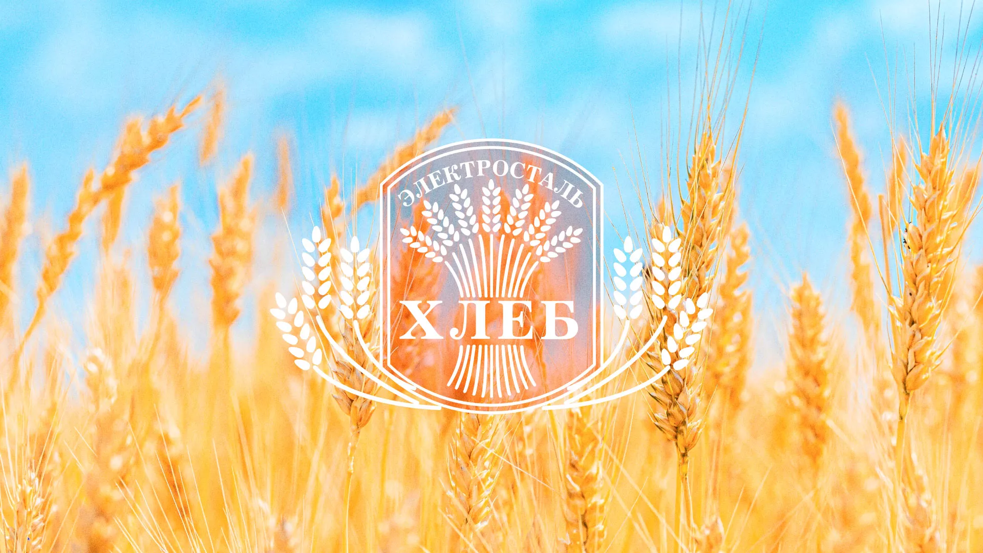 Создание сайта для хлебзавода в Туране